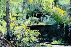 Morning-Creek
