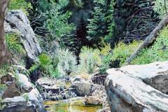 Mt.-Lemmon-Pond