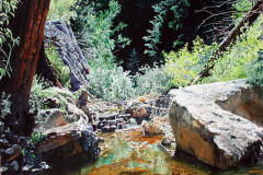 Mt.-Lemmon-Rock