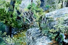 Mt.-Lemmon-Walk