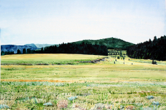 Northern-Arizona-Meadow