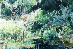 Pond-on-Workman-Creek