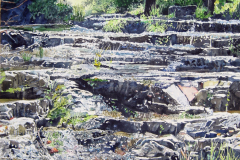 Rose-Creek-Steps