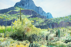 Safford-Peak-II