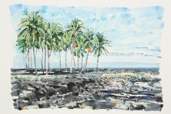 Sanctuary-Hawaii