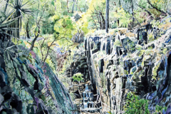 Spring-in-Turkey-Creek