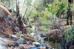 Turkey-Creek-Reflections