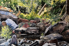 Workman-Creek-After-the-Fire-II