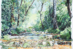 Workman-Creek-Step-Falls