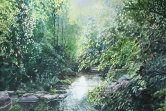 Workman-Creek-Still-Waters