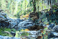 Workman-Creek-with-Orange